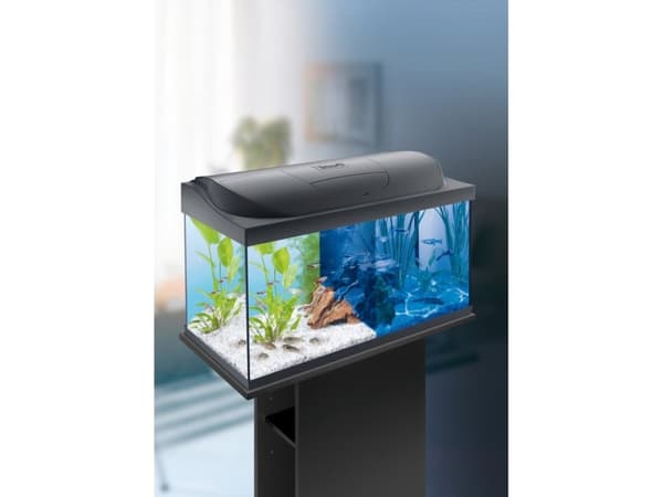 Tetra Starter Line Tank LED 54L, sort