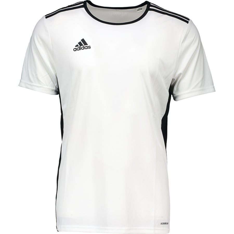 Adidas Herren-Shorts Entrada 22 L