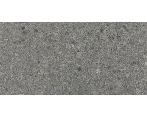 Porseleinen wand- en vloertegel Terrazzo Donaugrijs 60 x 120 cm gerectificeerd