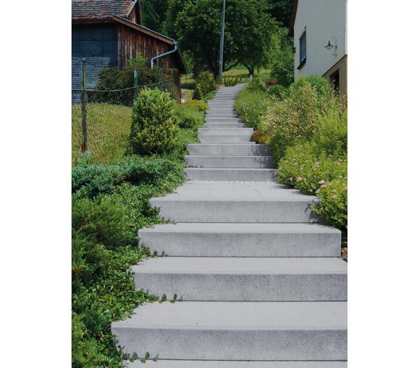 Diephaus Blockstufe VIA