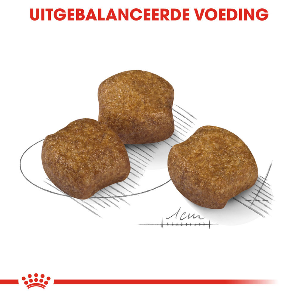Royal Canin Medium Dental Care - Hondenvoer