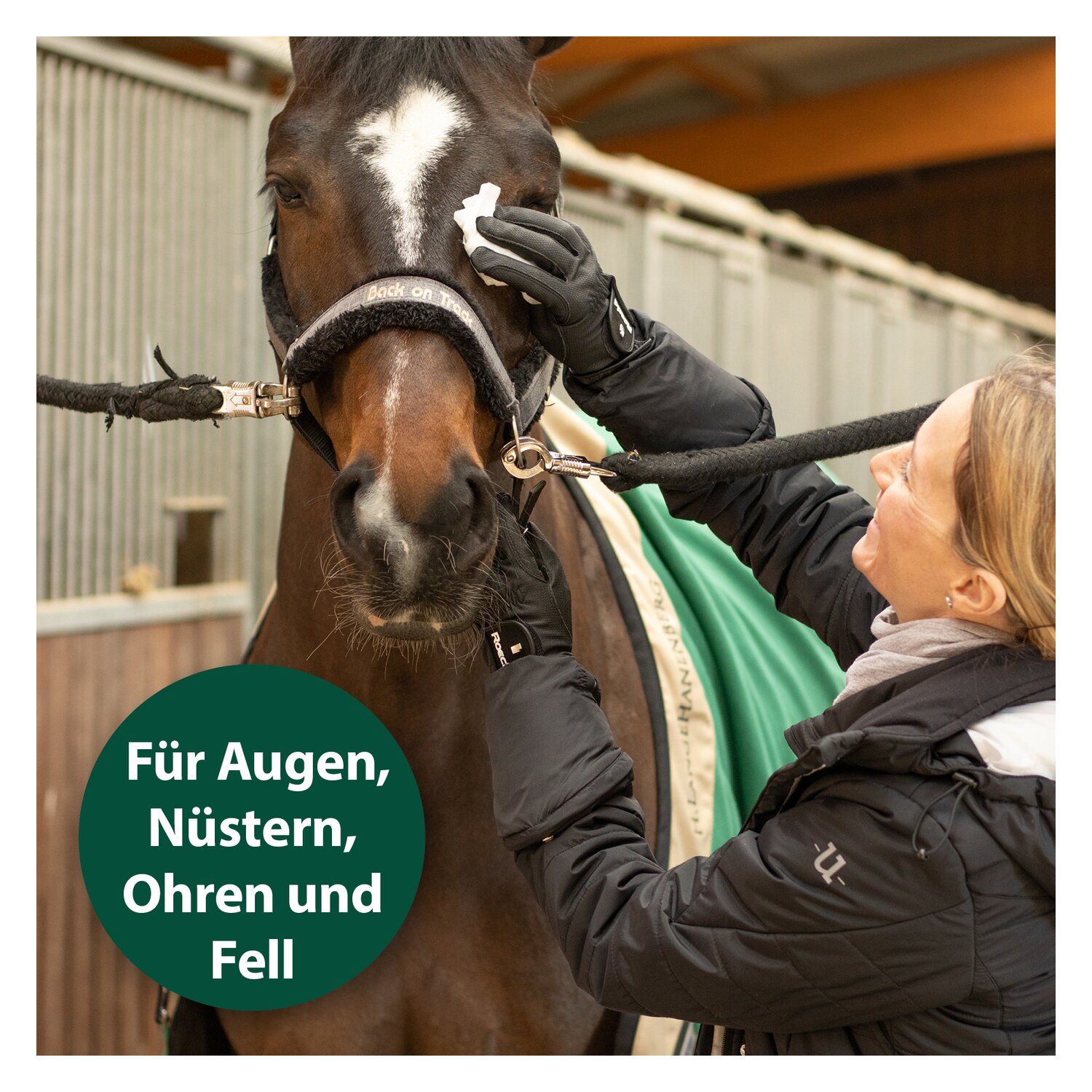 Equisept Universal Pflegetücher für Pferde  - 160 Stück