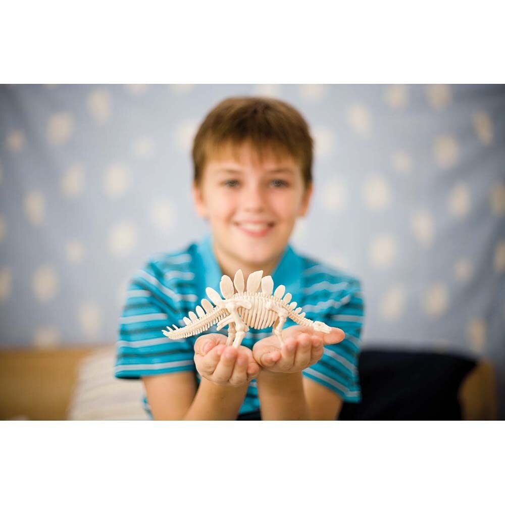 4M KidzLabs - Dinosaurier Ausgrabung Velociraptor