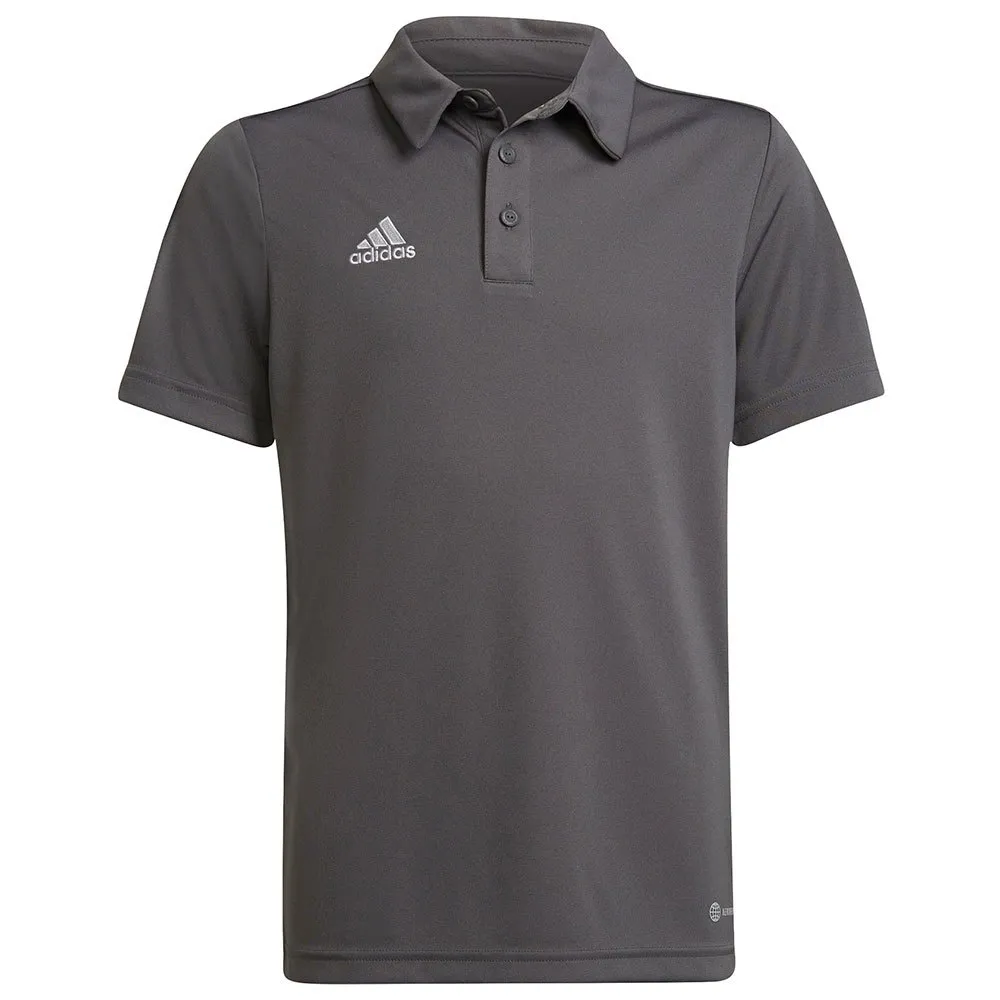 Camisa polo de manga curta adidas Entrada 22