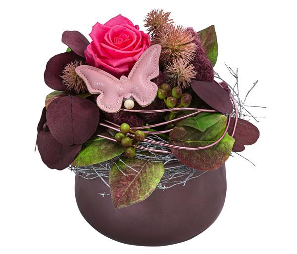 Dehner Keramik-Schale mit Longlife-Rose