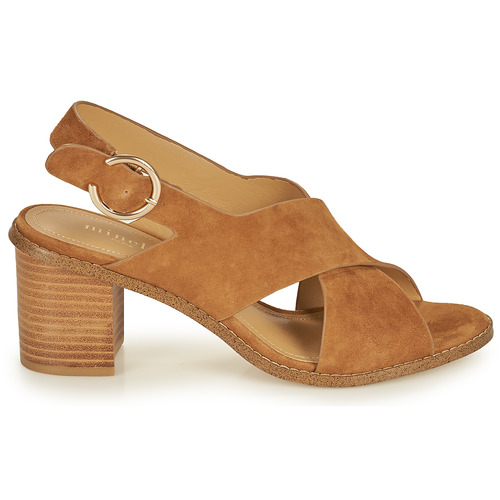 Minelli - CASIMIERA - Marron