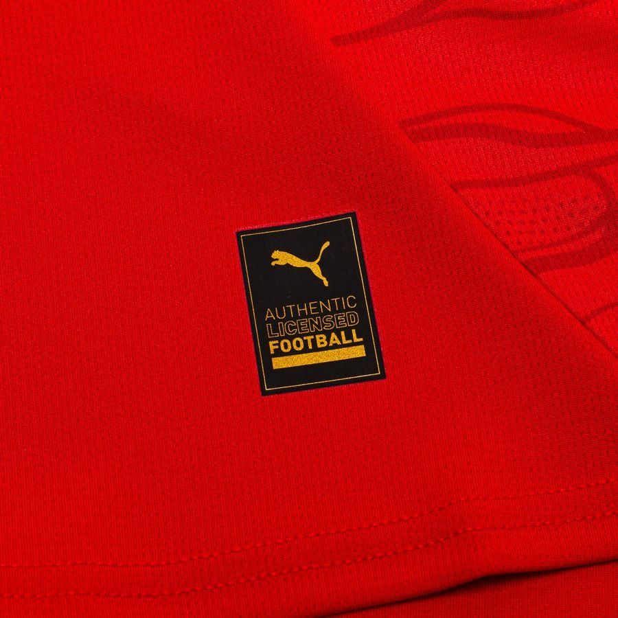 Autriche Maillot Domicile 2024/25