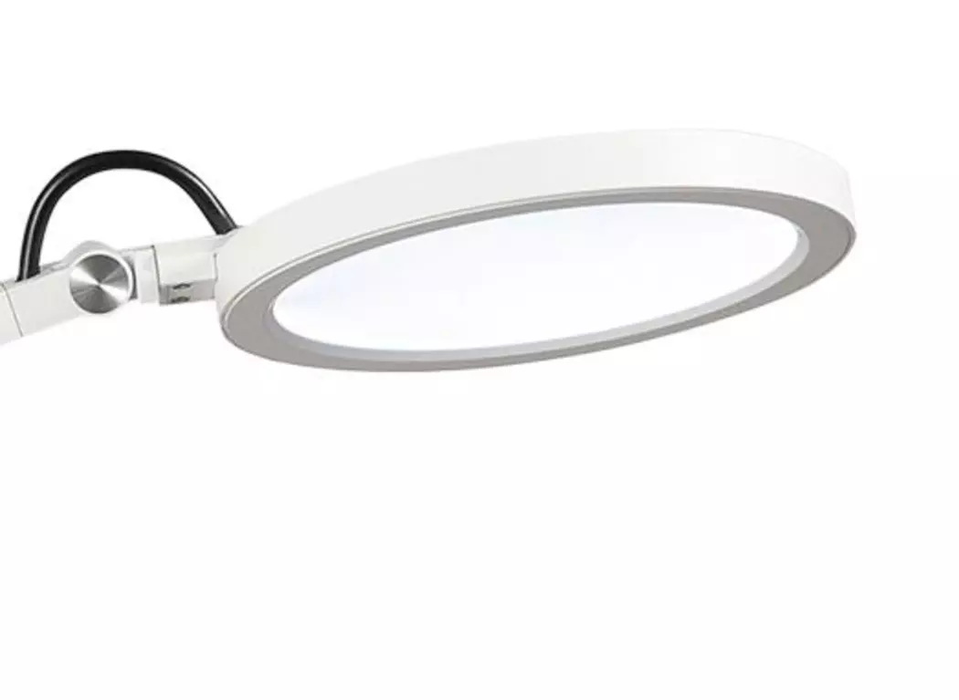 LED-Tischleuchte Regina
