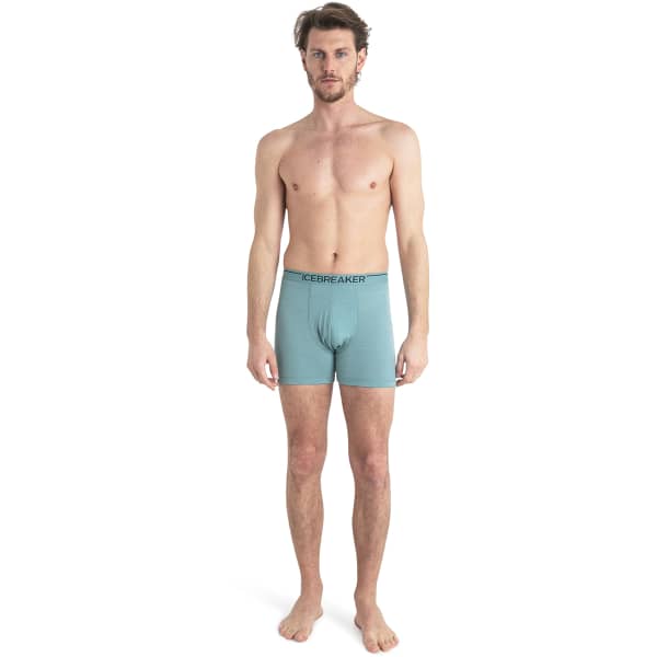 Boxer ICEBREAKER M ANATOMICA BOXERS CLOUD RAY