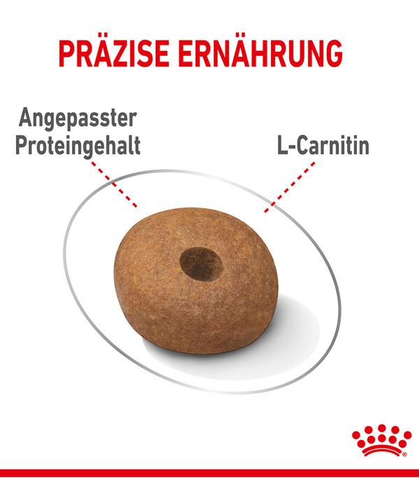 ROYAL CANIN® Trockenfutter für Hunde Light