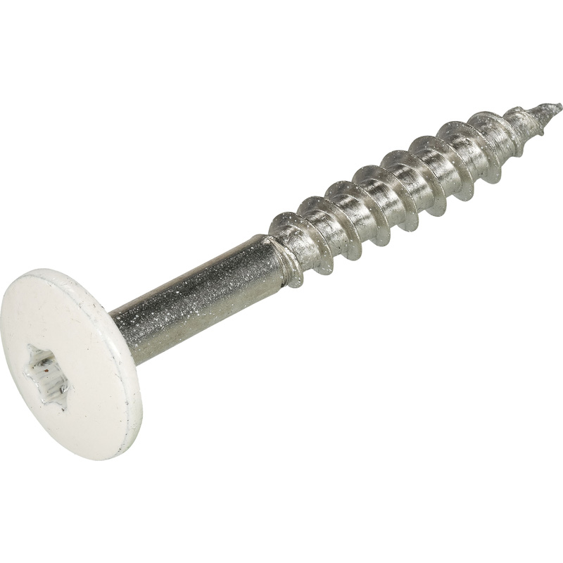 Kleurkop schroeven RVS 4,8x38mm TX20 RAL 9001 Crème