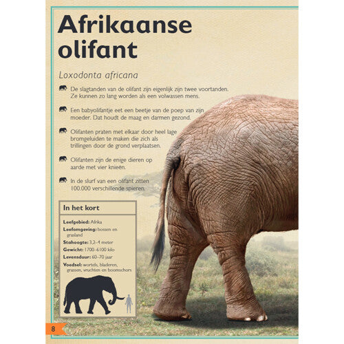 Uitgeverij gottmer het allermooiste boek over wilde dieren