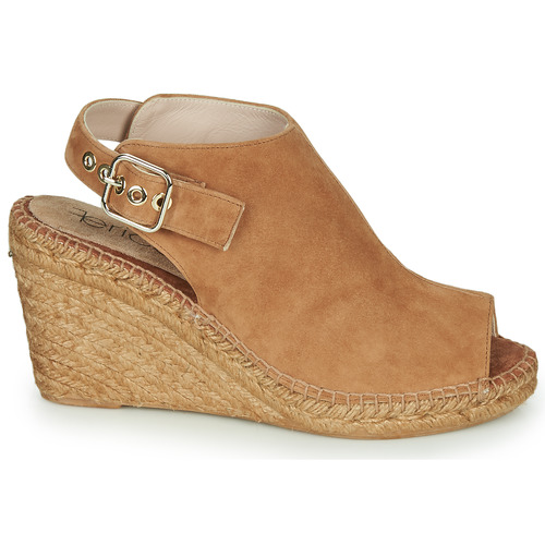 Fericelli - MAUD - Camel