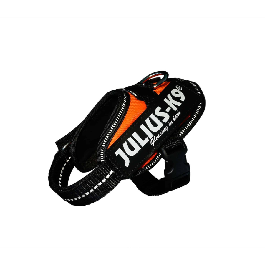 Coleira Julius K9 IDC UV para cães, laranja