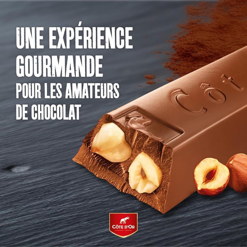 Barre chocolatée lait et noisettes Côte d'Or - 45 g