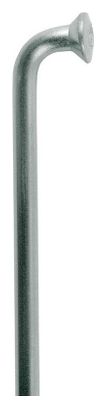 Boîte de 100 rayons inoxydables DT Swiss 298x2