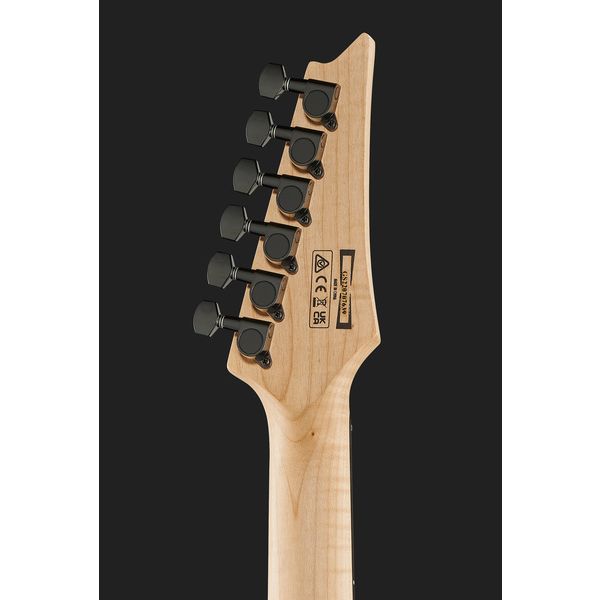 Ibanez PGMM21 Paul Gilbert MGN