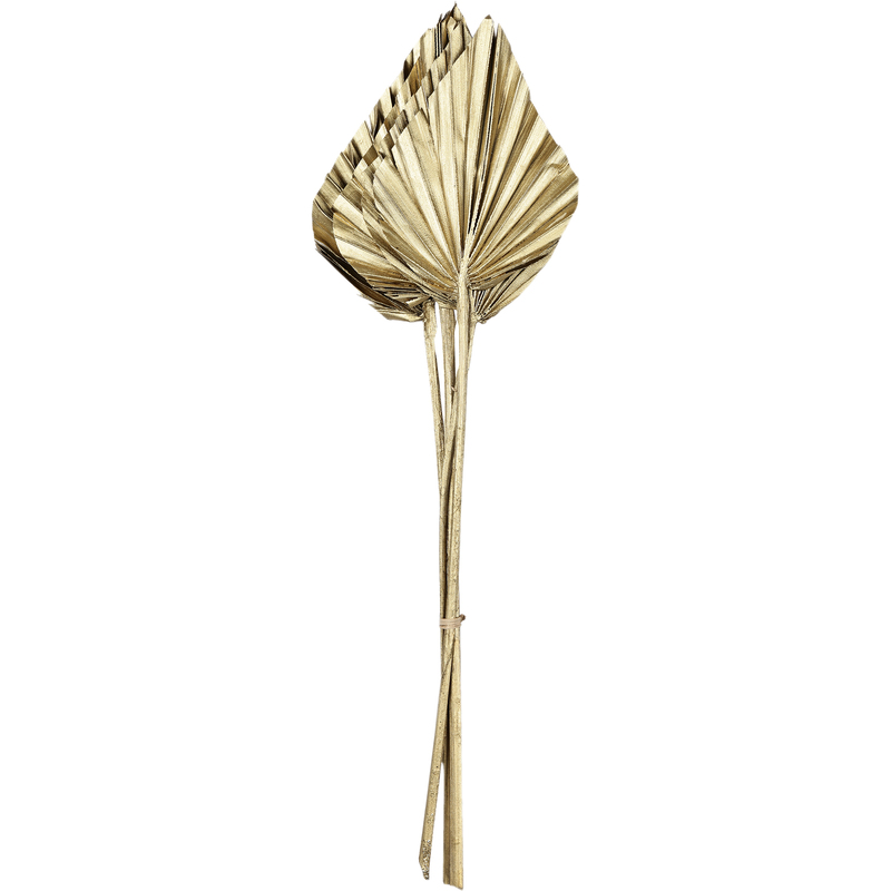 EGLO Trockenblume, 45 cm, gold