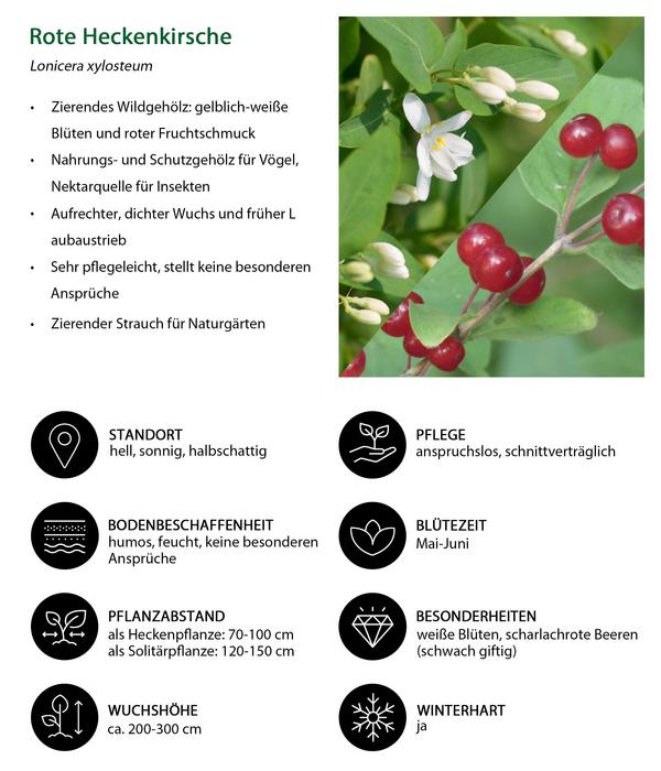 Vogelschutzhecke Fink, 4-teilig