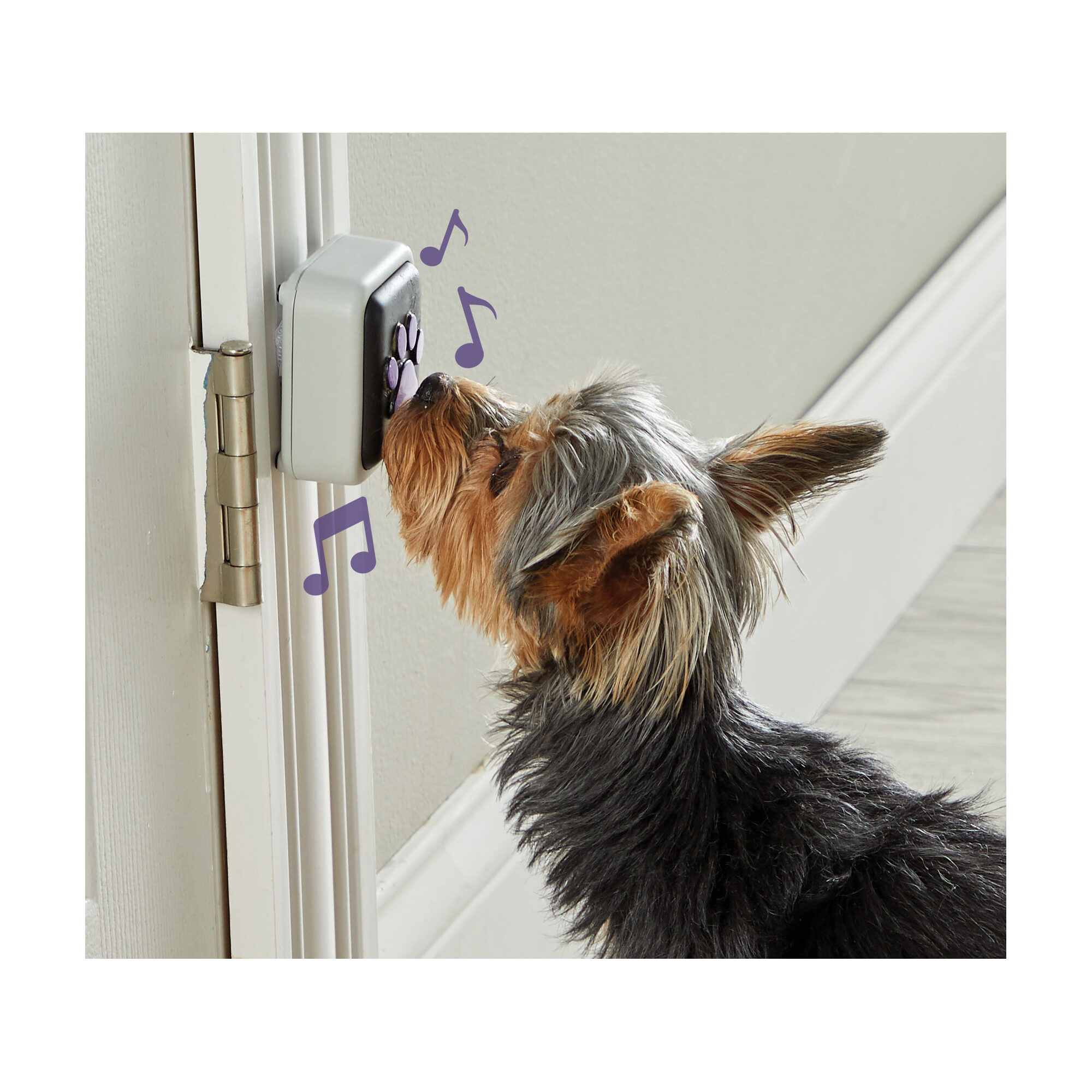 Hunger for Words Talking Pet Doorbell