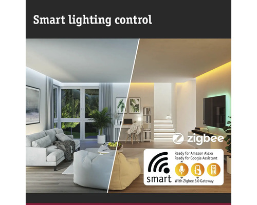 Paulmann Globe Plug & Shine ZigBee RGBW IP65 2.8W 110 lm Ø 20 cm bol wit 230/24 V - Compatibel met SMART HOME van hornbach