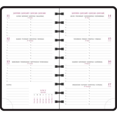 Exacompta Chemin Des Marettes Eurotime - Agenda 2025 - semainier - reliure à anneaux métalliques - 16 W Pocket - 90 x 160 mm - papier ivoire - couverture ivoire - carton rigide