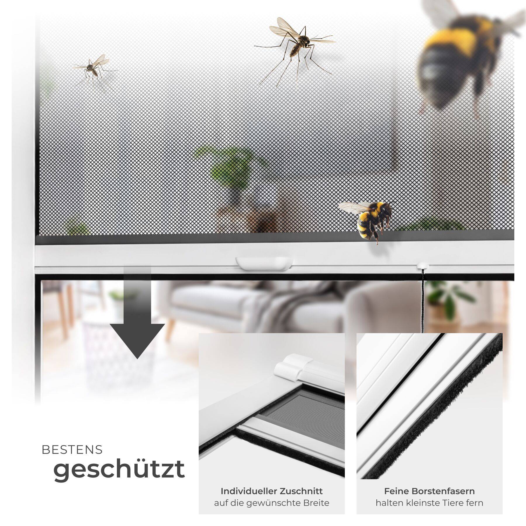 Insektenschutzrollo