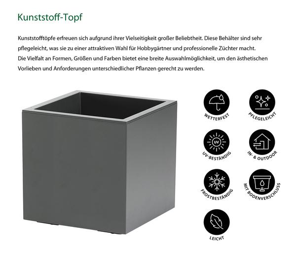 Dehner Kunststoff-Topf Kebe, quadratisch, ca.