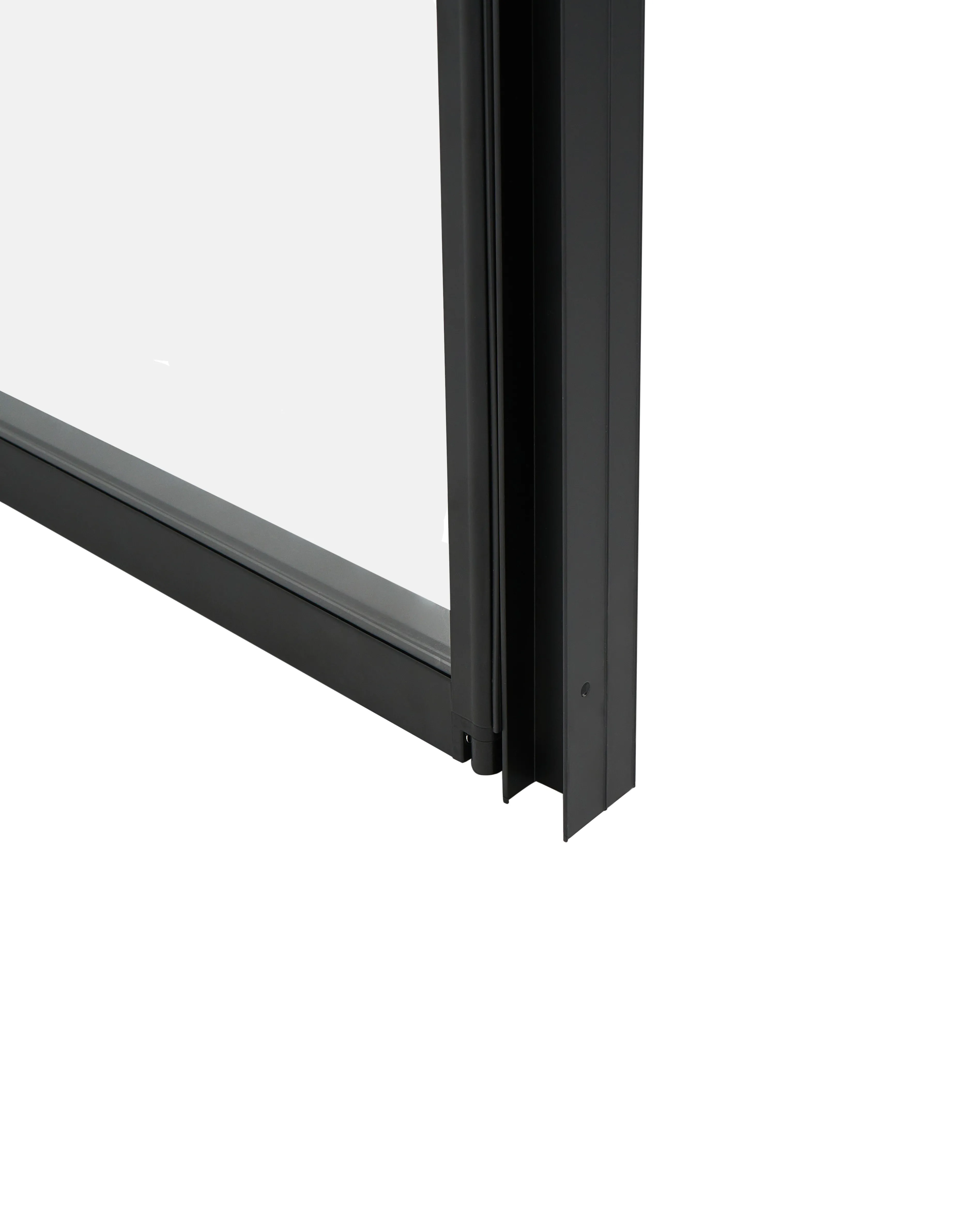 Tweevoudige douchedeur NELTUME 80 x 190 cm Zwart