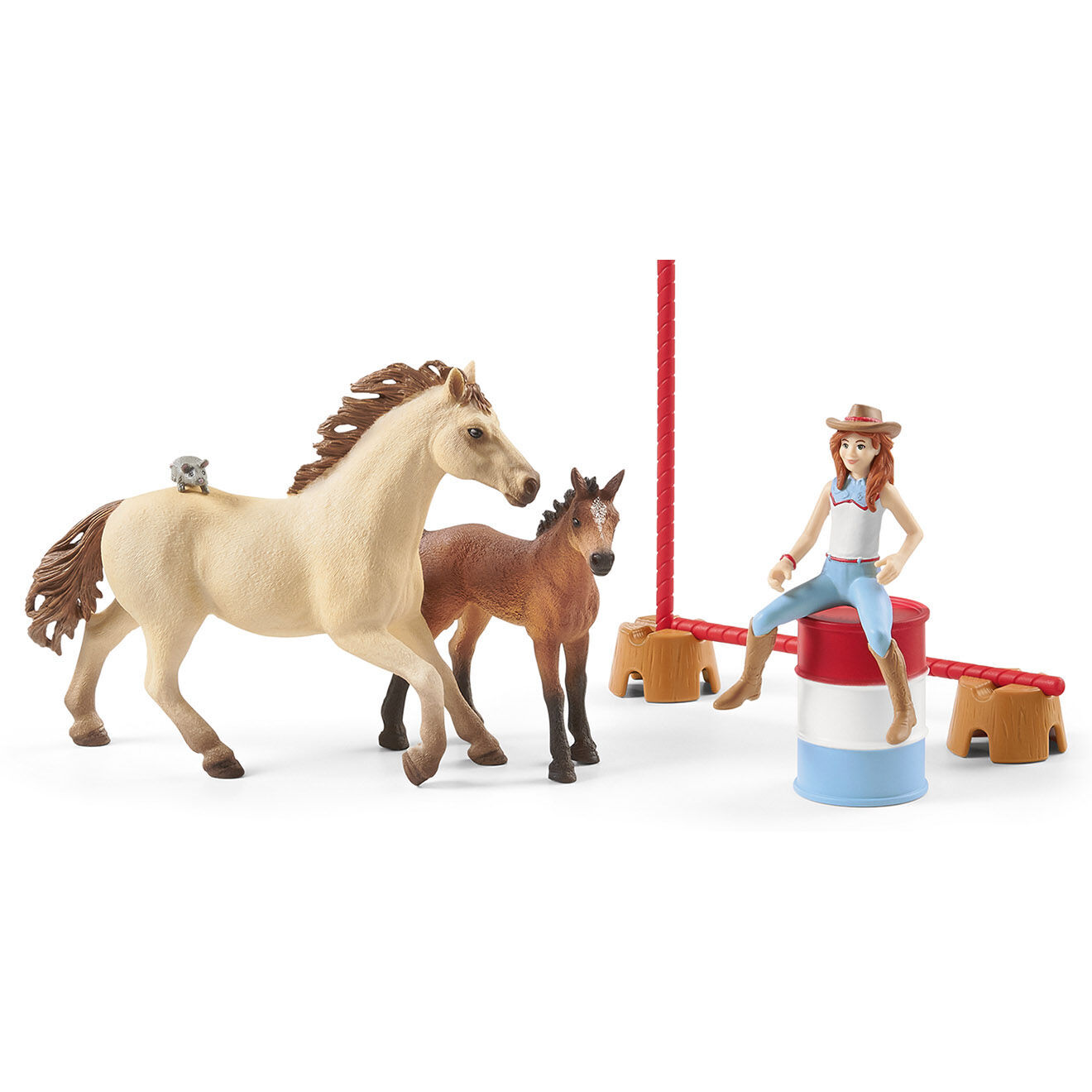 Schleich Entrainement au Ranch multicolore