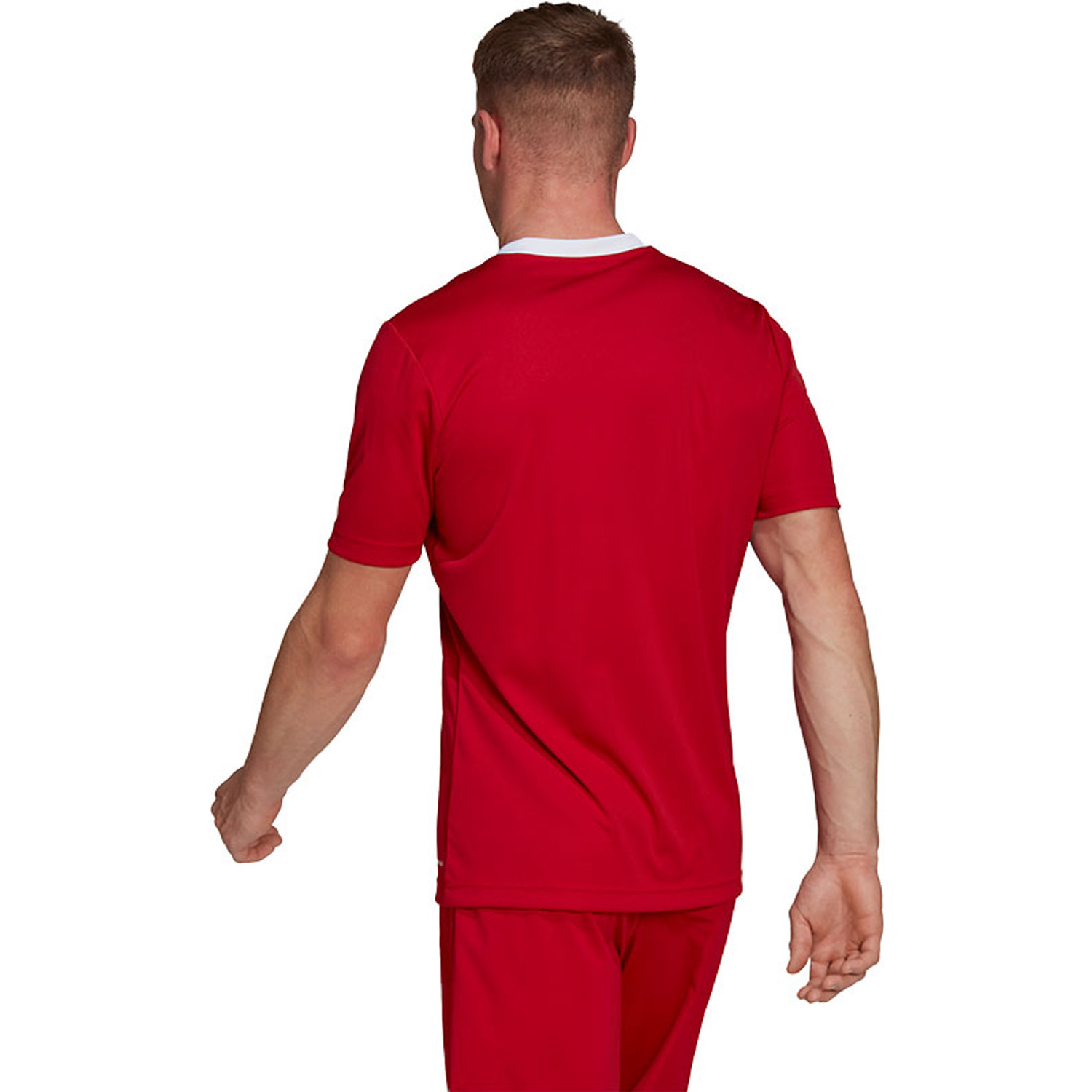 adidas Entrada 22 Training Shirt