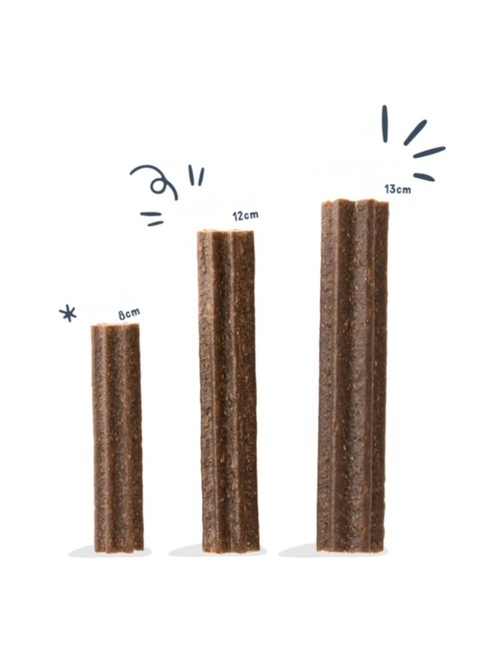 Edgard Cooper - BLAND 3 FOR 108 - Doggy Dental Æble & Eukalyptus Sticks M