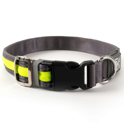 Freezack Leuchthalsband Light-Collar für Hunde gelb