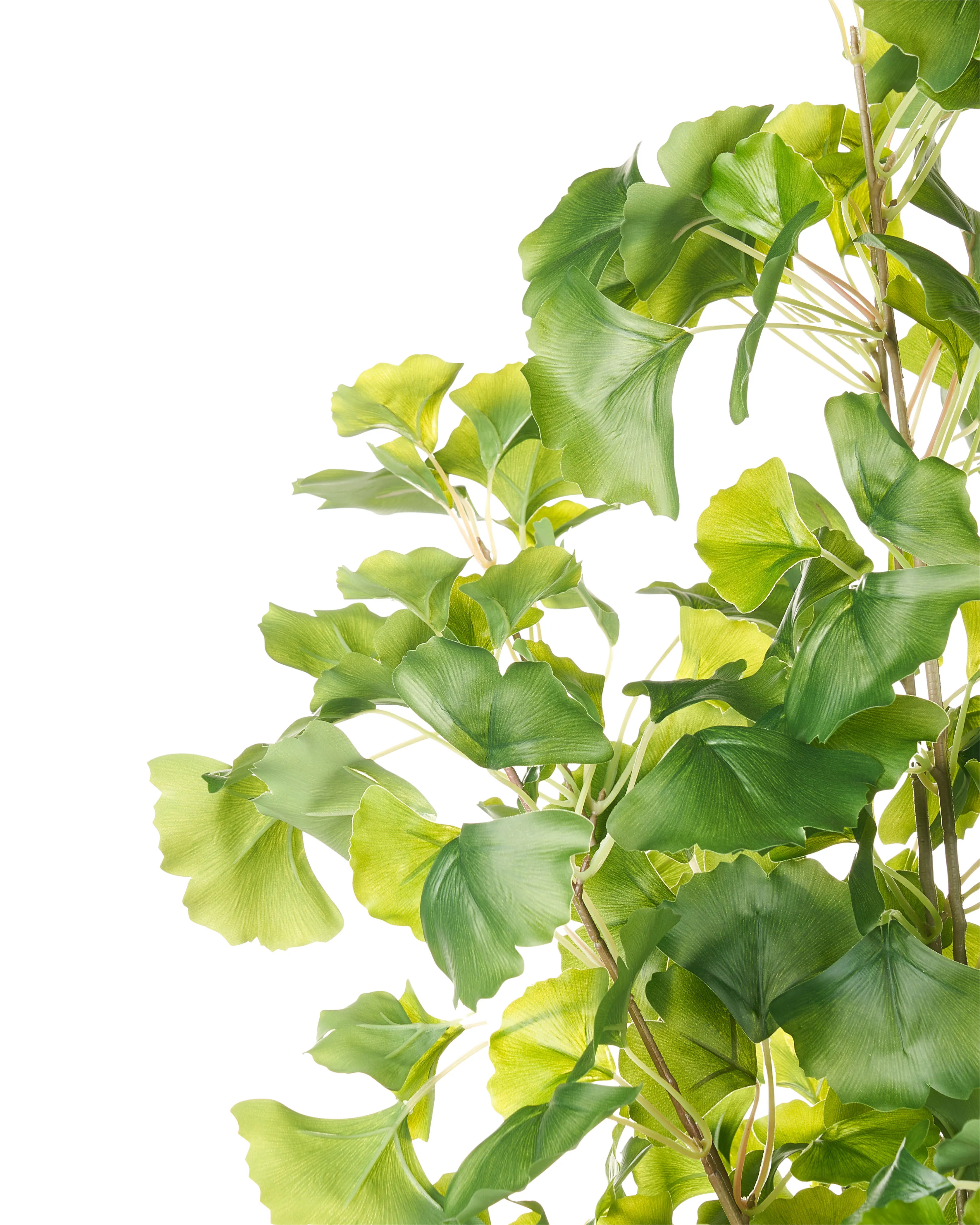 Kunstplant GINKGO TREE 150 cm Groen