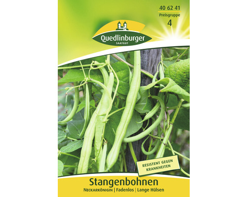 Pole beans Neckarkönigin Quedlinburger Open-pollinated seeds Vegetable seeds