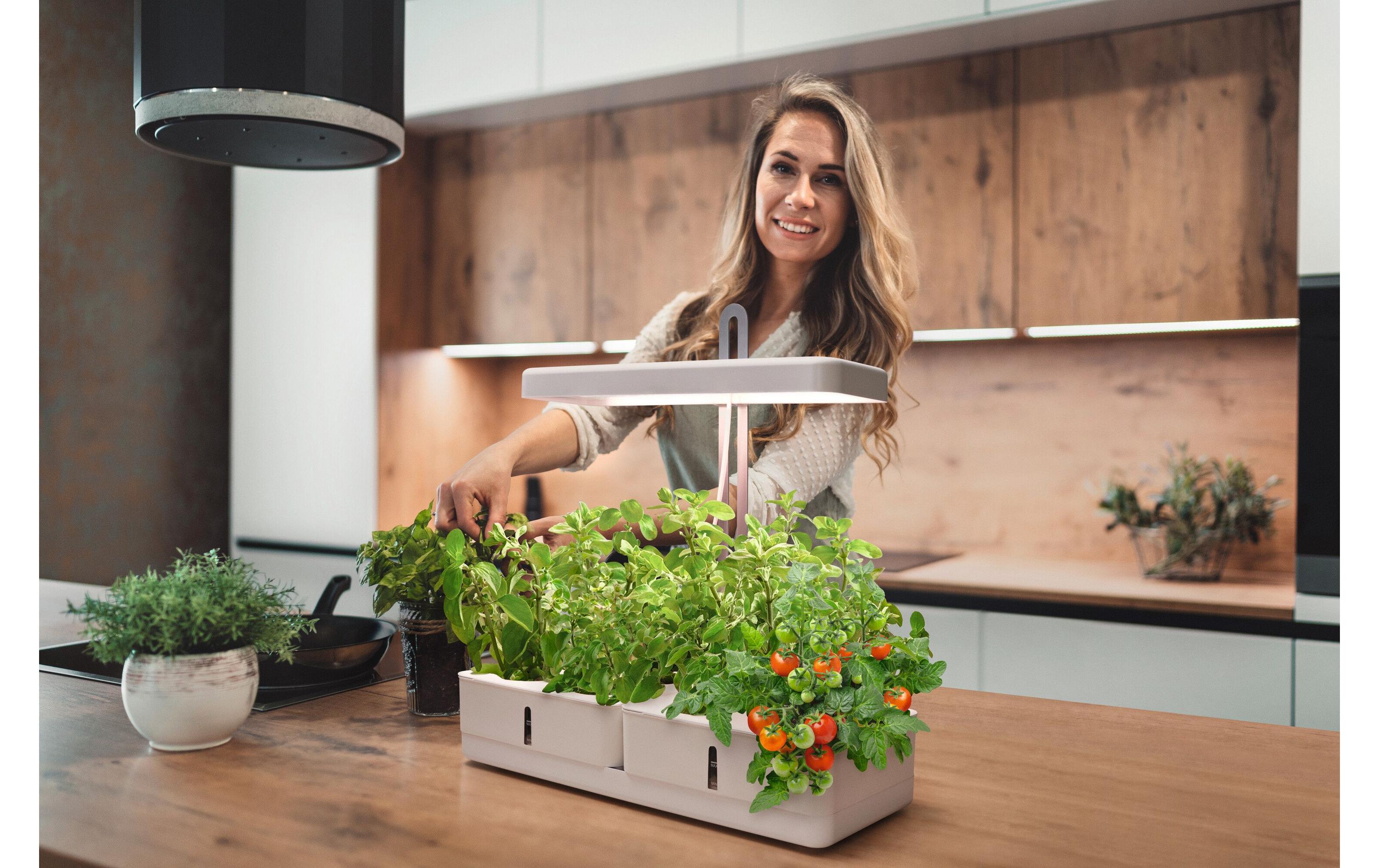 Indoor Garden Kit 450 WT, WeissLED Pflanzenlicht mit zwei Pflanzbehältern