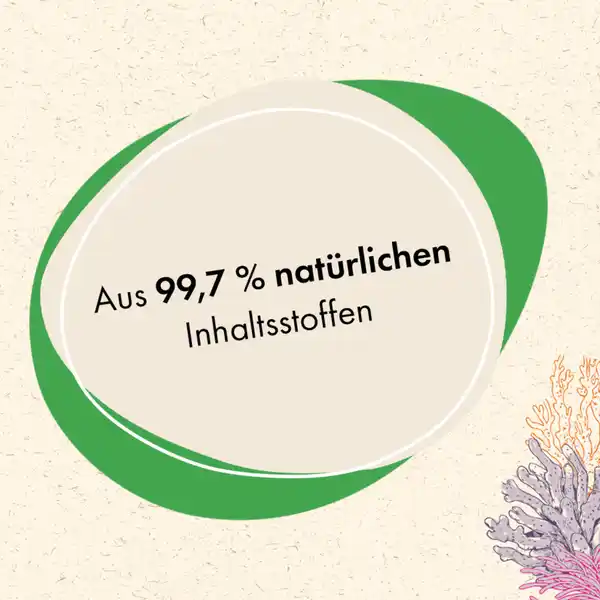 Colorwaschmittel 20 WL