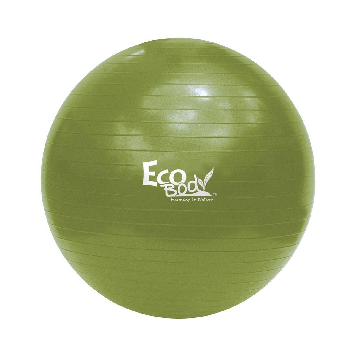 Ecobody Yoga ball 75 cm