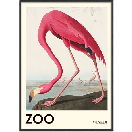 The Zoo Collection Flamingo - 70x100 cm