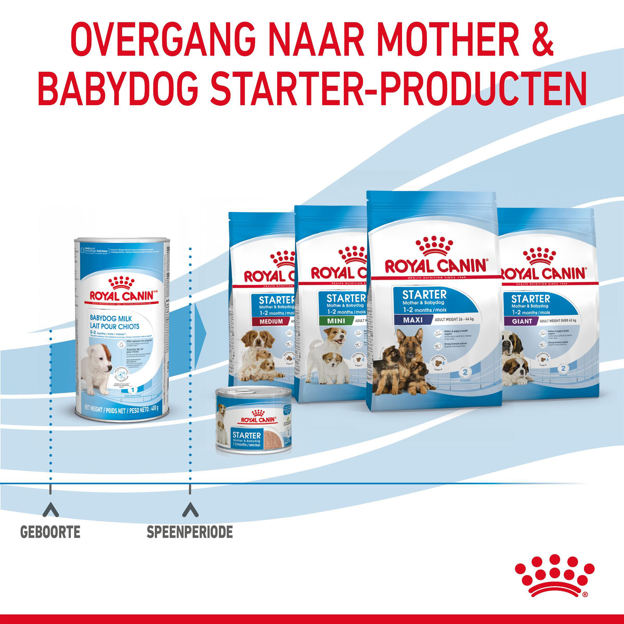 Royal Canin Babydog Milk puppymelk
