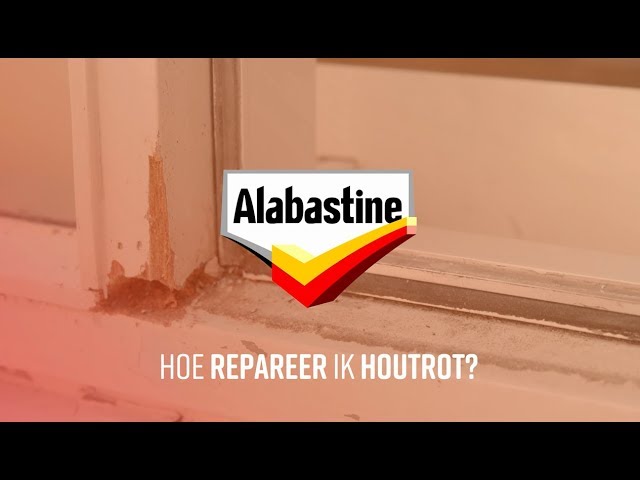 Alabastine 5314833 Houtrotvuller - 330g