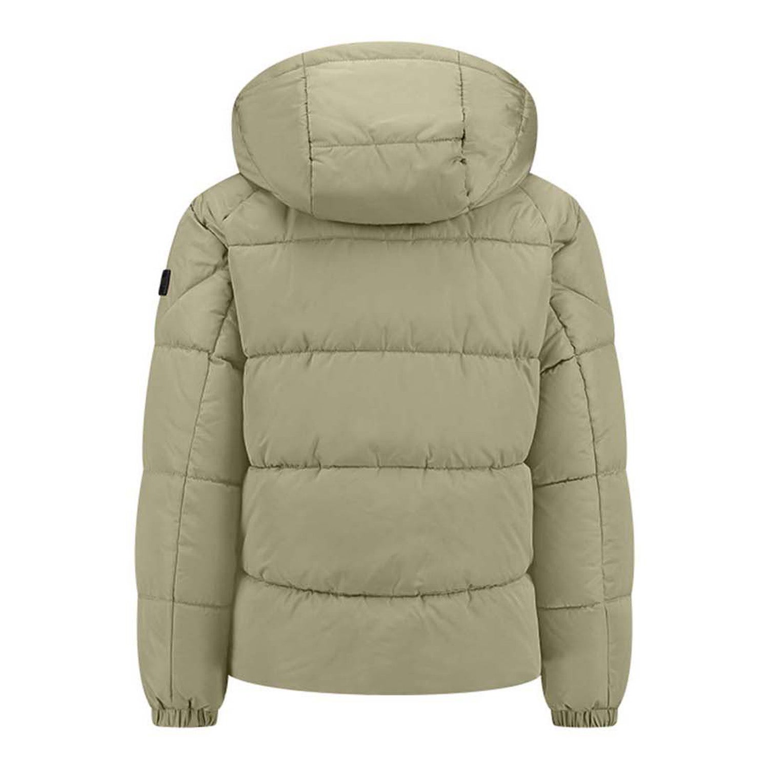 Malelions  Junior Donn Puffer