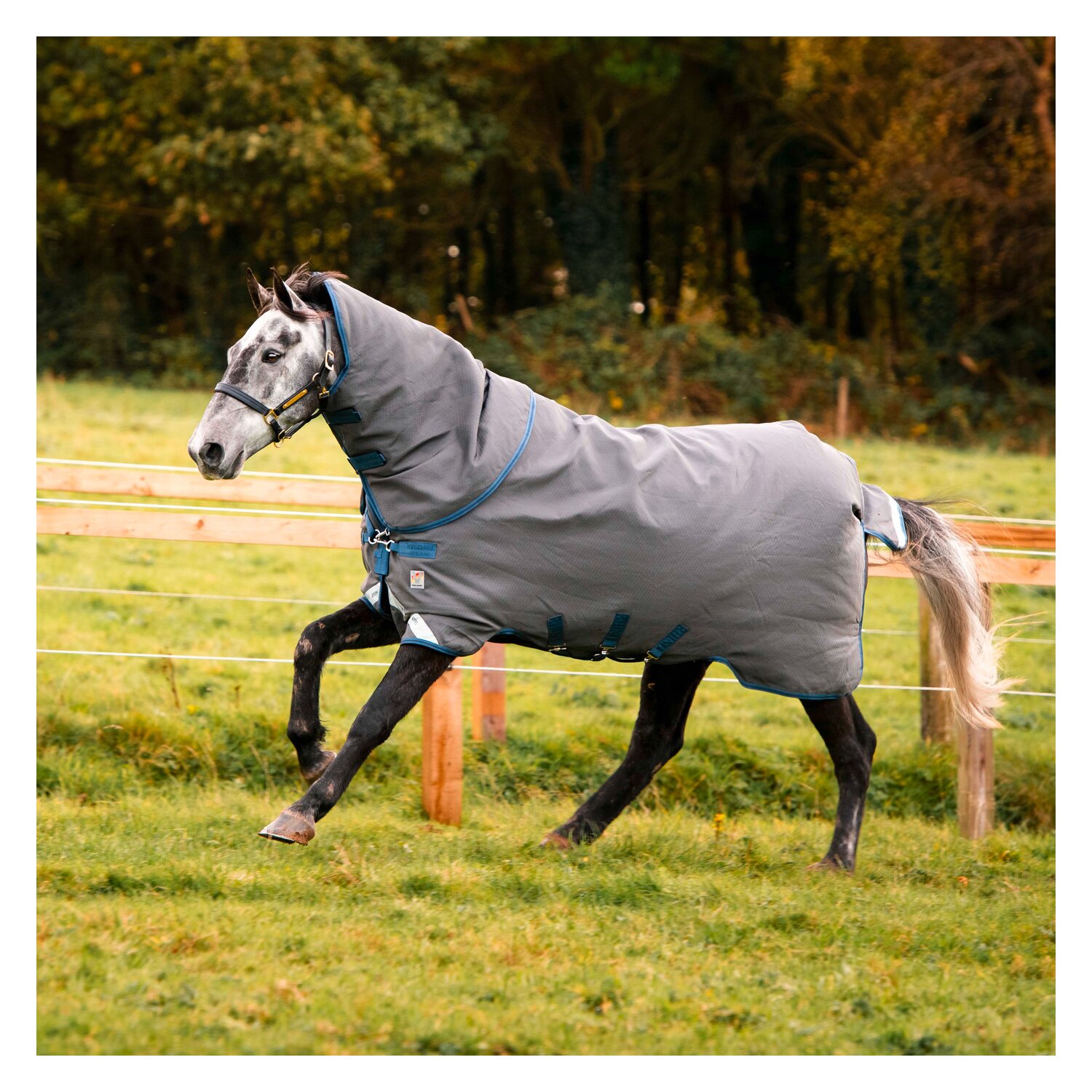 HORSEWARE Outdoor-/Weidedecke RHINO Hexstop Plus mit Vari-Layer - grey indigo