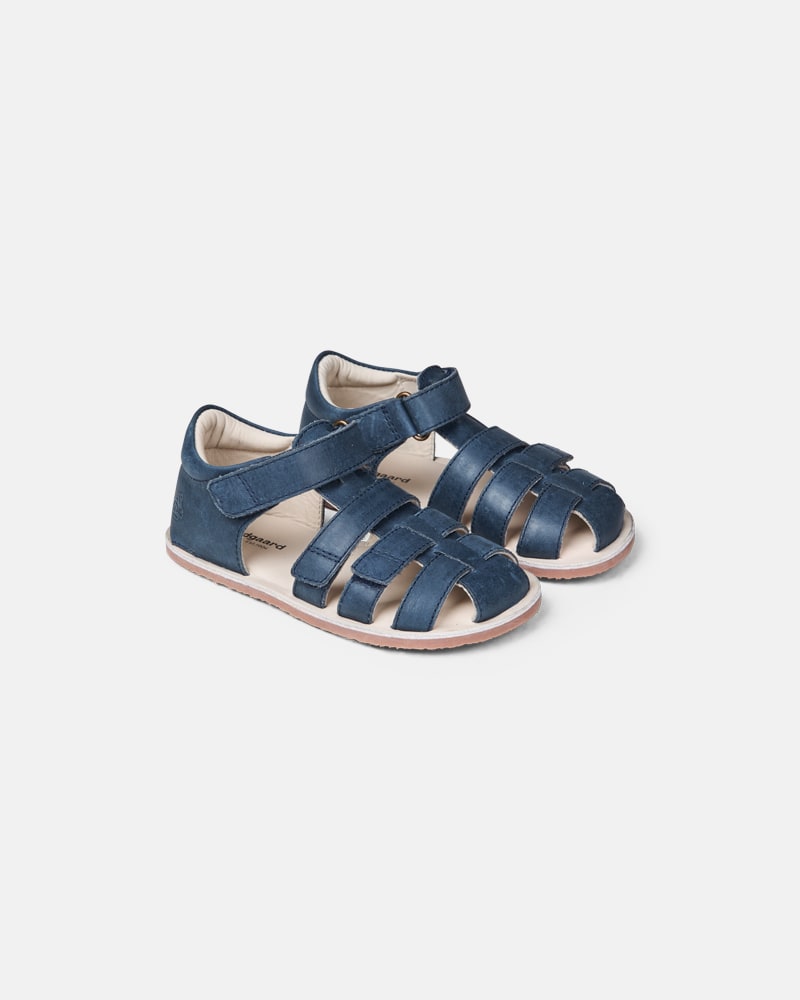 Sebastian Navy