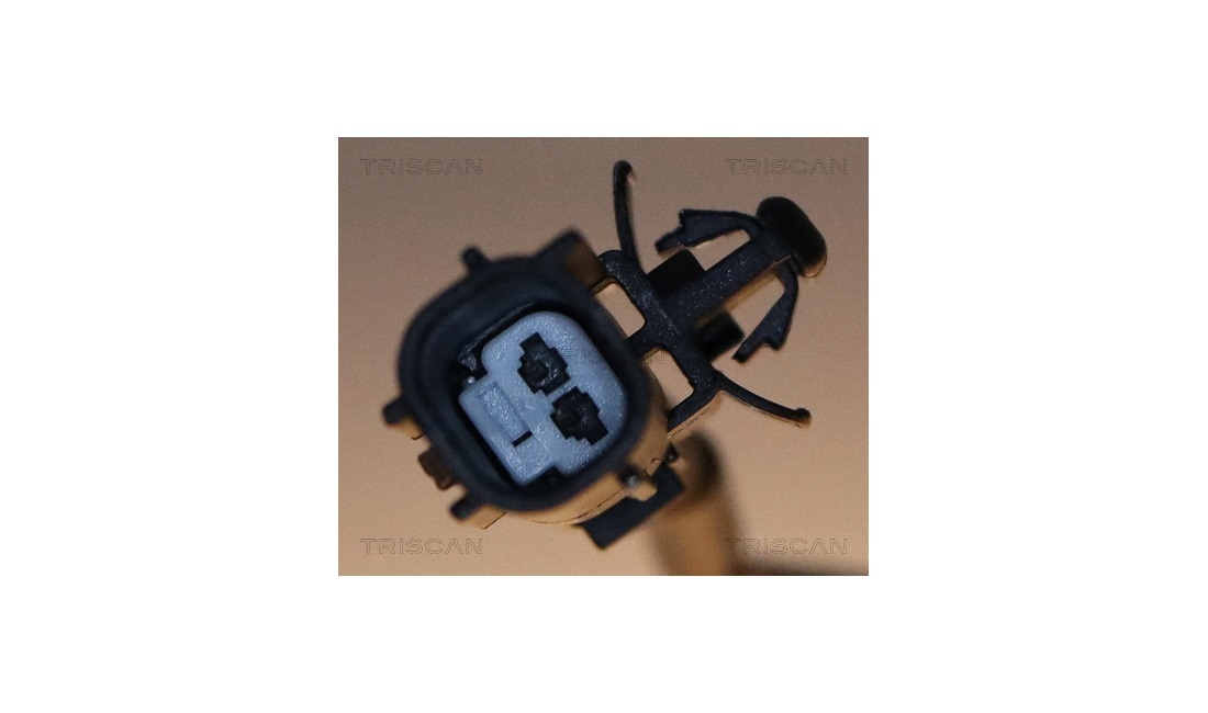 ABS sensor