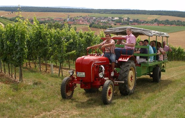 Weinseminar in Zeilitzheim - Rundfahrt & Verkostung