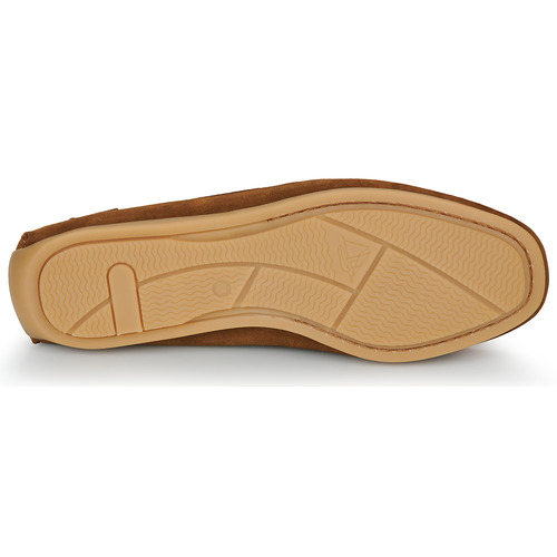 Carlington - ERMYL - Camel