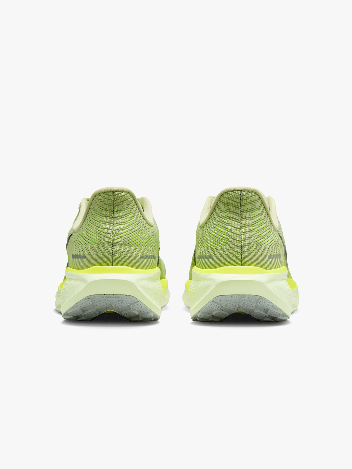 Pegasus 41