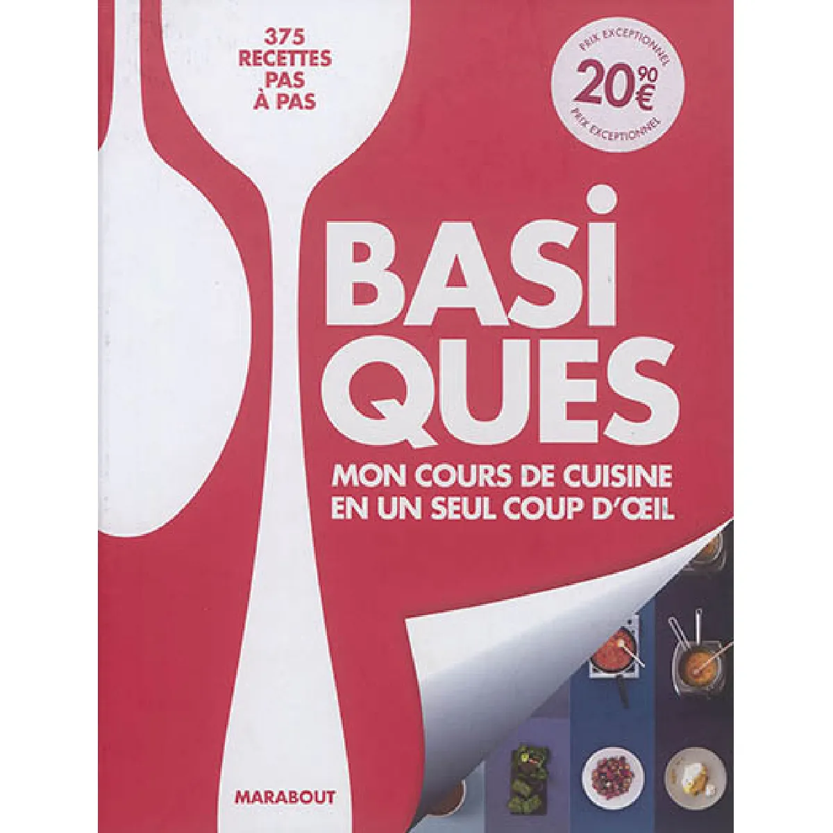 Basiques : mon cours de cuisine en un seul coup d'oeil : 375 recettes pas à pas · Occasion