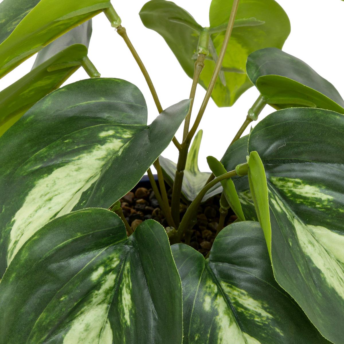 PLANTE VISAGE POT CERAMIQUE SOLEYA H.30CM